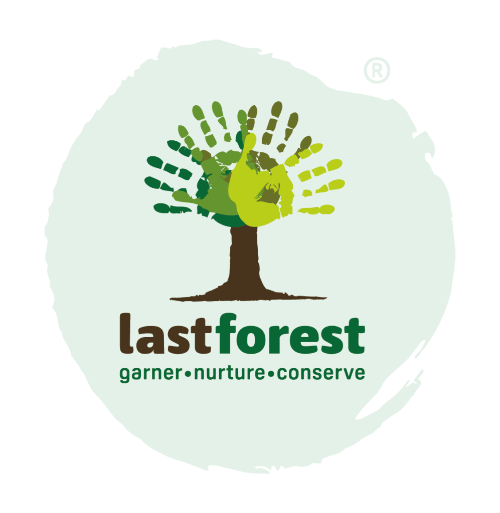 LastForest