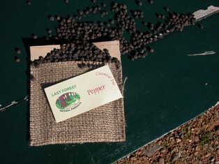 Packaging for pepper