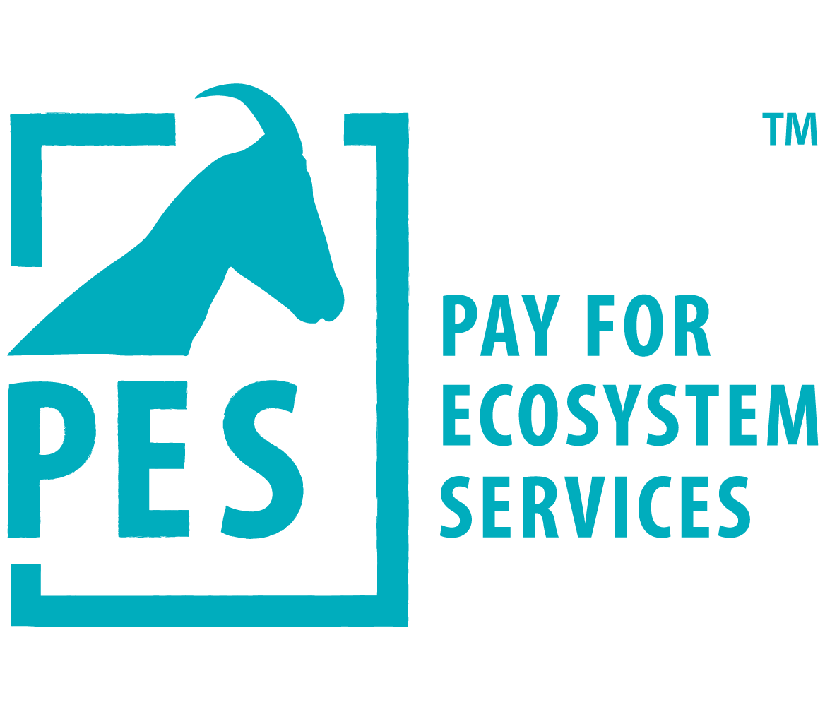 PES TM Logo